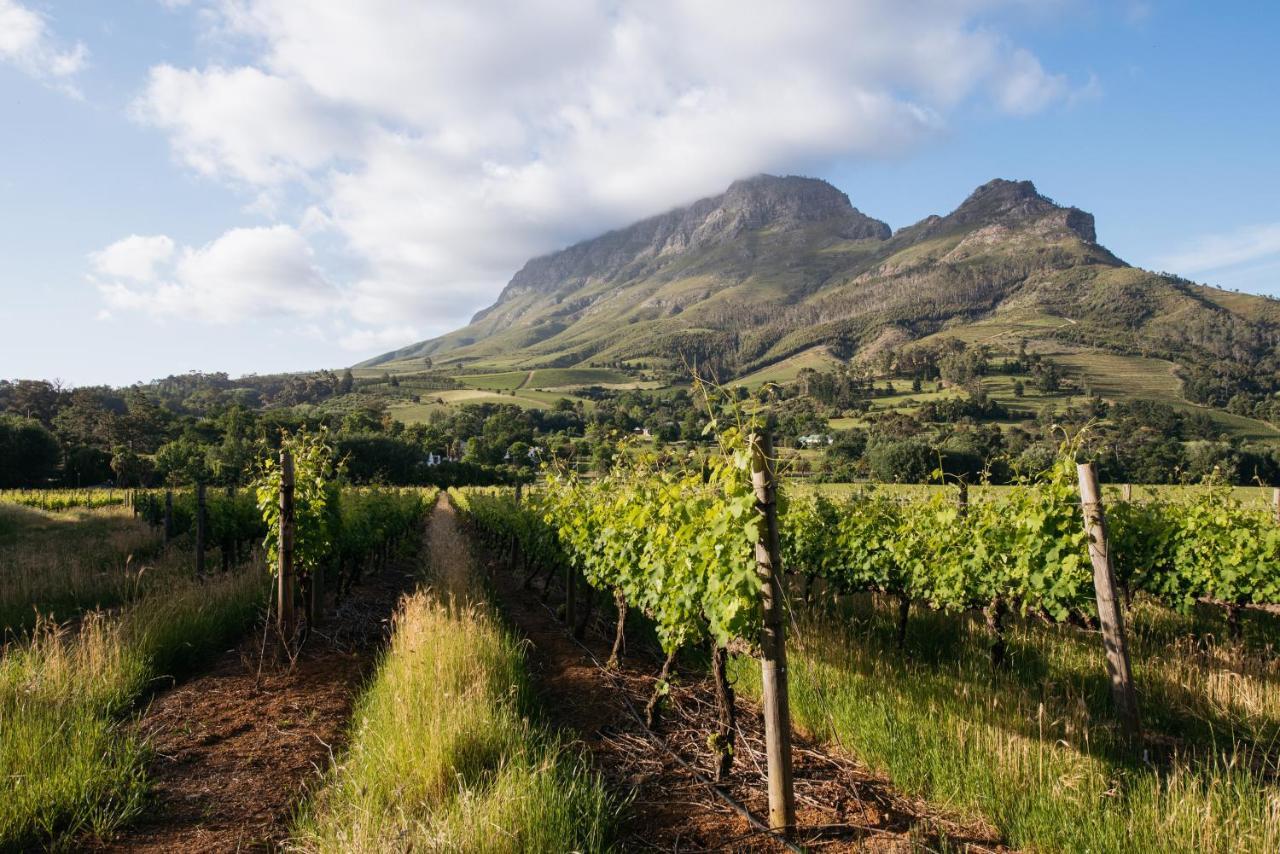 Banhoek Lodge Stellenbosch Bagian luar foto