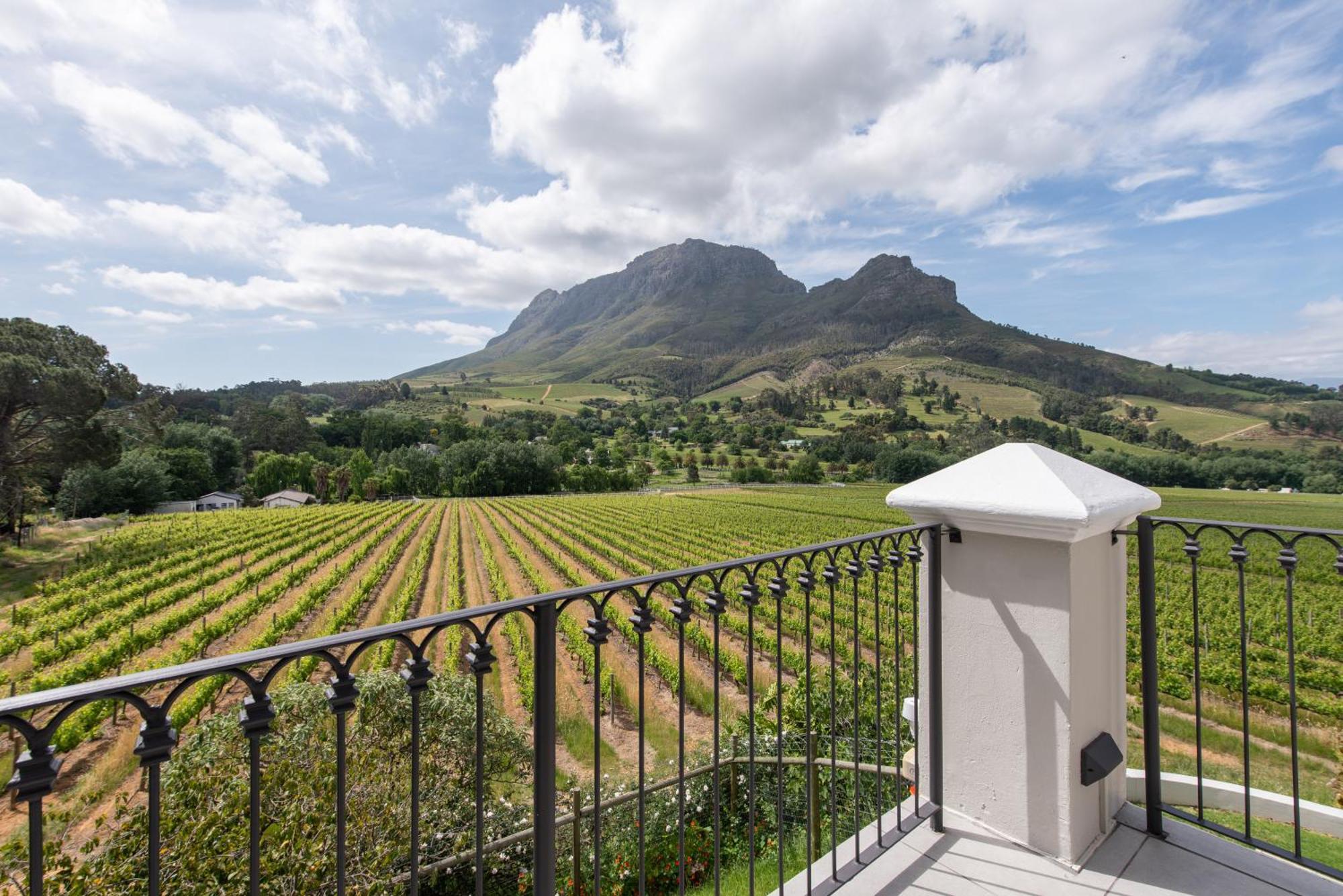 Banhoek Lodge Stellenbosch Bagian luar foto