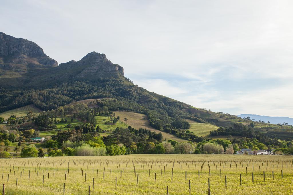 Banhoek Lodge Stellenbosch Bagian luar foto